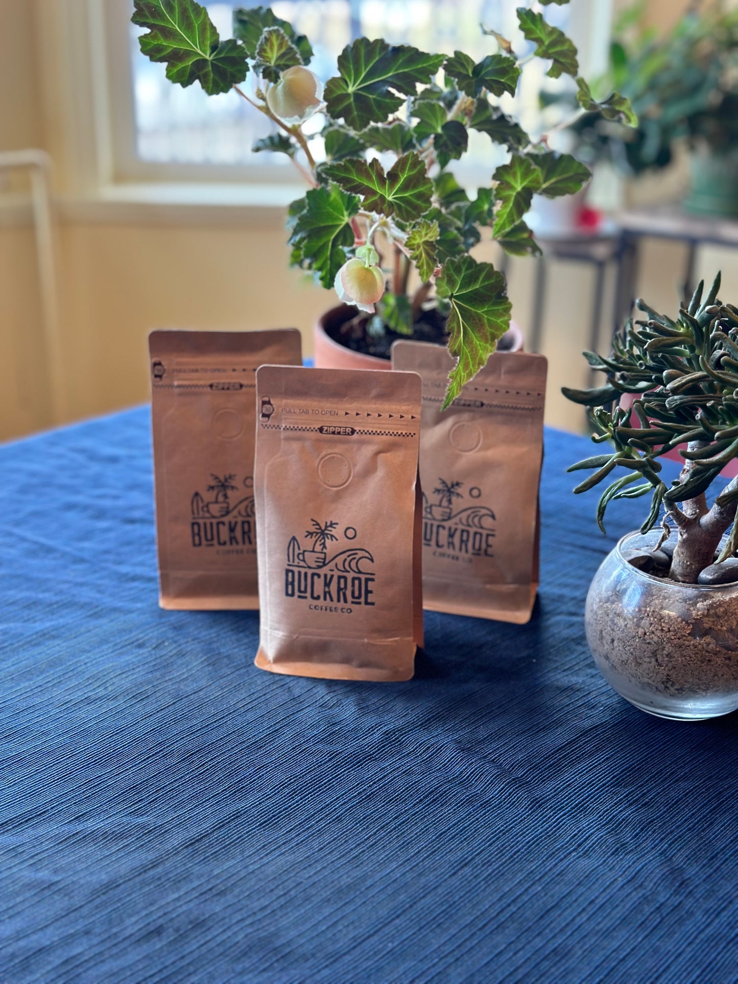 Buckroe Coffee- single 4 oz bag sampler