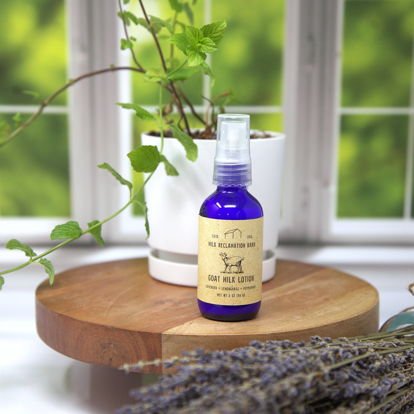 Goat Milk Lotion