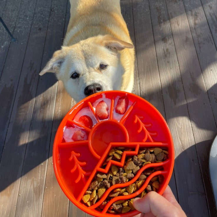 Great Outdoors eBowl - Slow Feeder Dog Bowl & Enrichment | USA Made