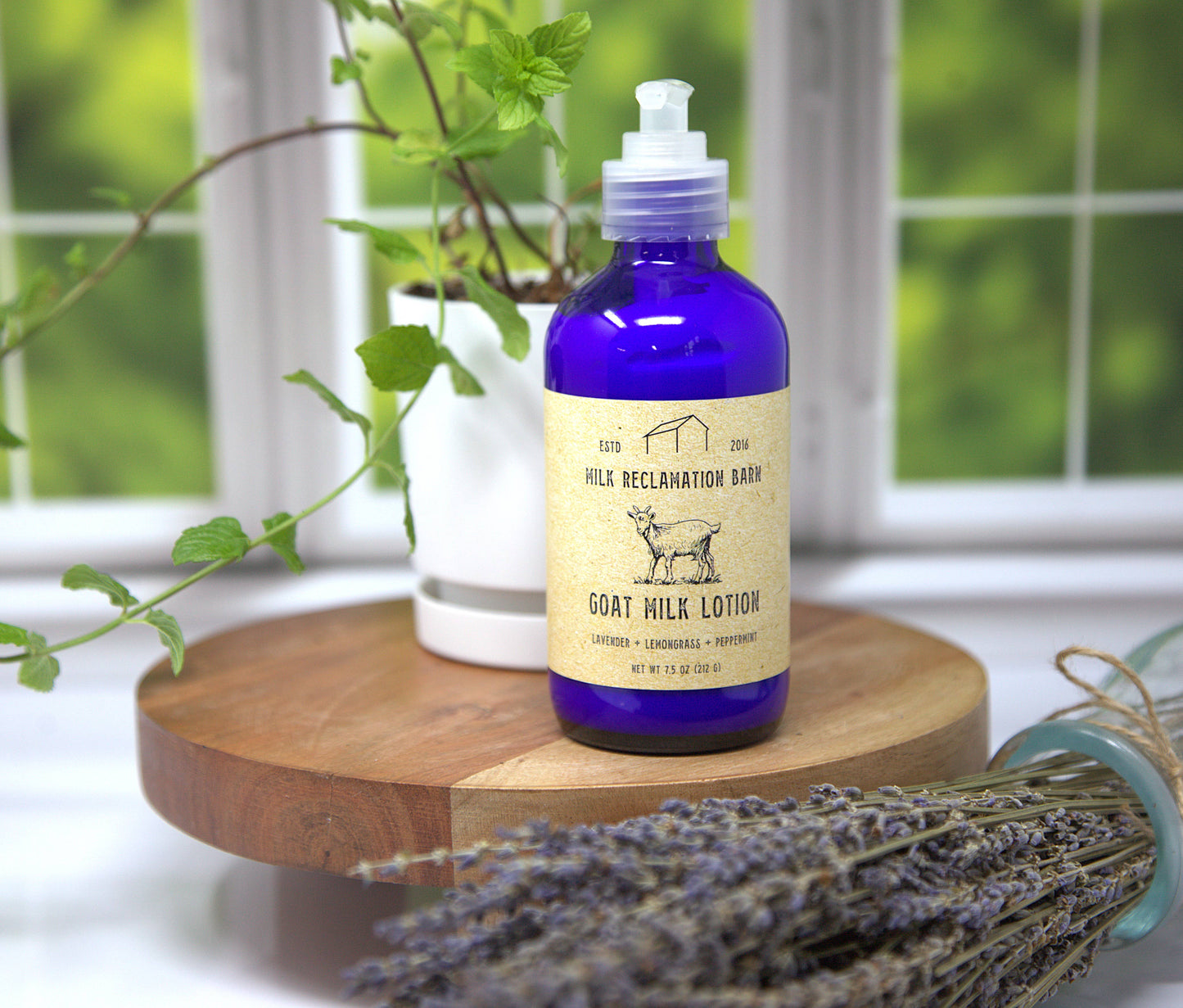 Goat Milk Lotion